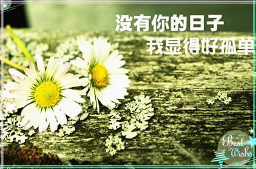 陈河图南荒统帅免费阅读（陈河图）小说最新章节_陈河图全文免费阅读_笔趣阁（陈河图南荒统帅免费阅读）