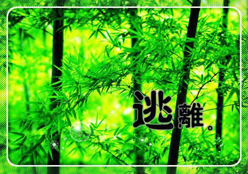 最火言情小说纪兰漪傅景无弹窗大结局-小说纪兰漪傅景小说(纪兰漪傅景小说)最新章节阅读