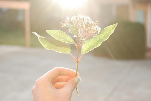 宋蕴蕴江曜景小说免费（宋蕴蕴江曜景）全文小说_宋蕴蕴江曜景小说免费最新章节列表笔趣阁