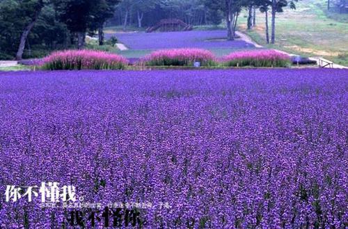 夏天司马兰小说全文免费阅读(夏天司马兰)全文免费阅读_夏天司马兰小说全文免费阅读最新章节列表_笔趣阁（夏天司马兰）