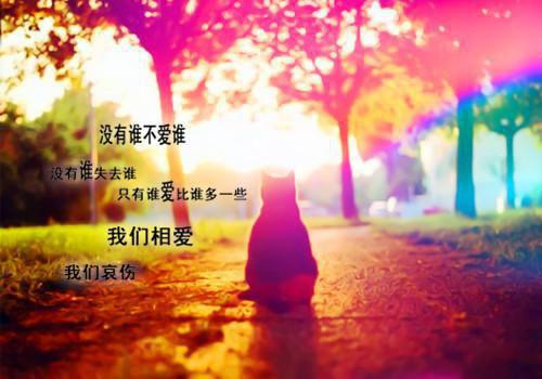 沈秋生姚雨葭：开局校花怀了我的孩子小说全文/全集/电子书/大结局（沈秋生姚雨葭：开局校花怀了我的孩子）姚雨葭沈秋生阅读-耽美微姚雨葭沈秋生