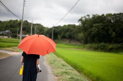 宋晚栀江肆姜州(宋晚栀江肆姜州)全文免费阅读_宋晚栀江肆姜州(宋晚栀江肆姜州)免费在线阅读_笔趣阁（宋晚栀江肆姜州）