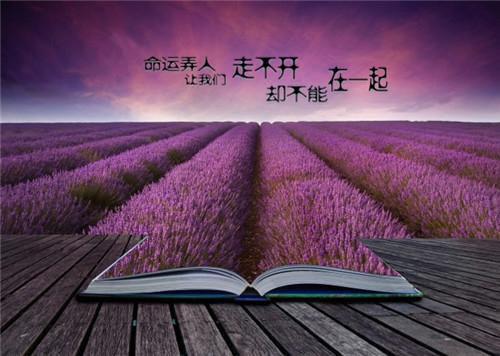 温知羽霍司砚(温知羽霍司砚)全文免费阅读无弹窗大结局_ 温知羽霍司砚(温知羽霍司砚小说免费阅读)最新章节列表_笔趣阁（温知羽霍司砚）